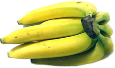 Bananen-6.jpg